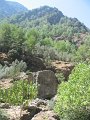 IMG_2188 - Copy